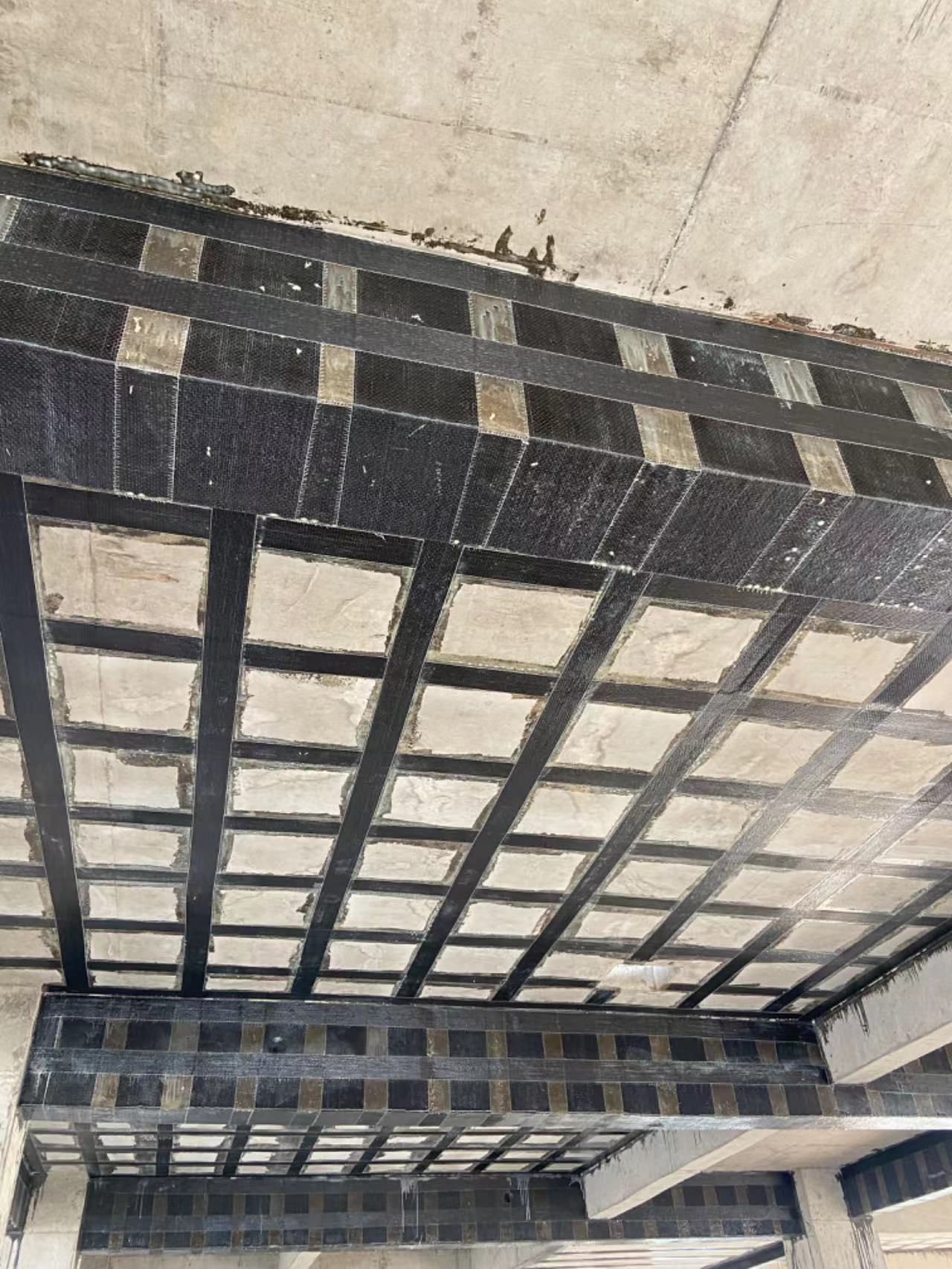 1723797335831670.jpg 1723797335831670.jpg